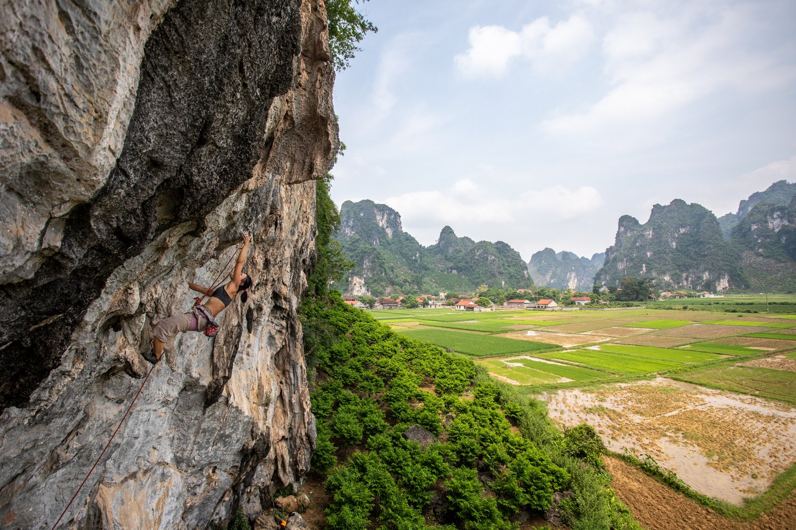 hl trang view