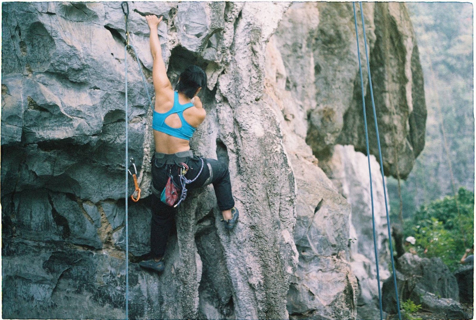 "Requiem for a tree" 6b at Drone Wall © Hanh Le