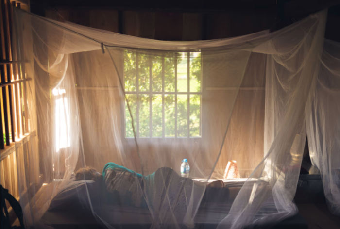 mao dorm bed