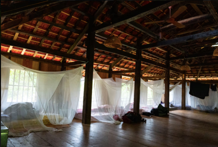 mao dorm inside