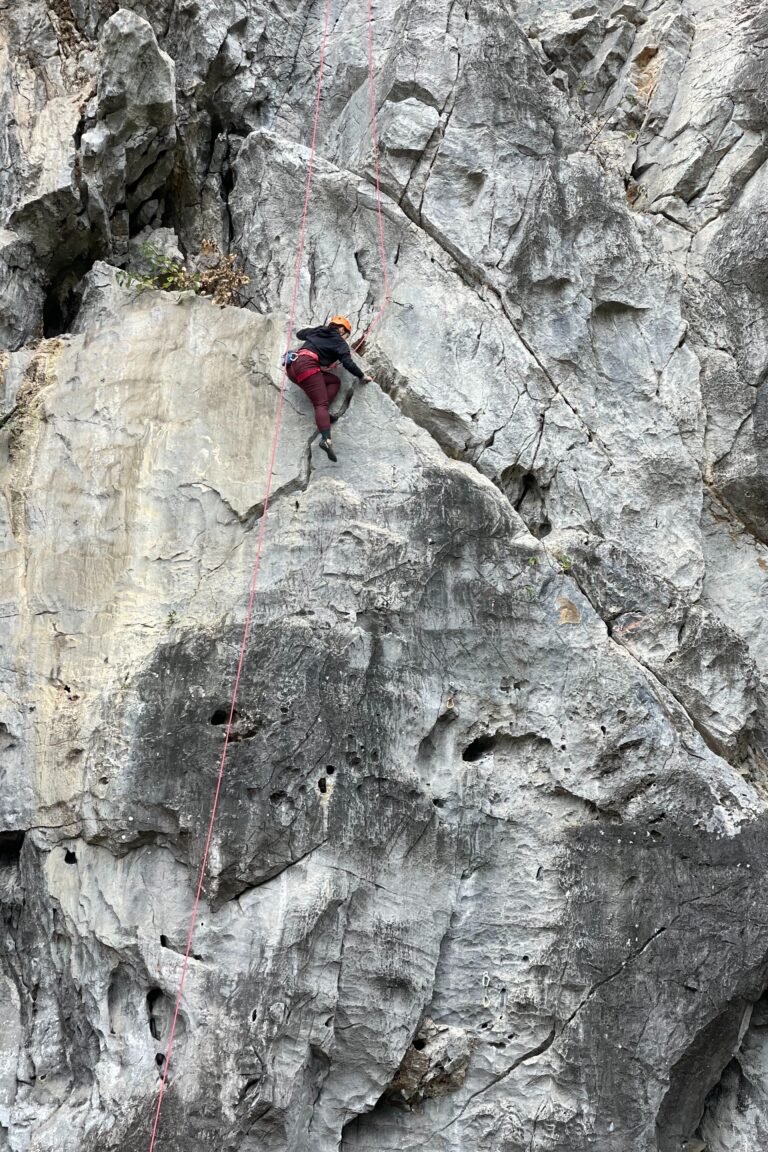 rc bv 3 copie